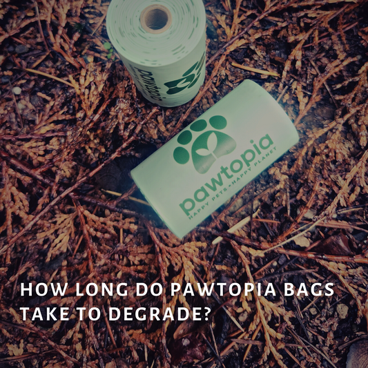How Long Do Pawtopia Bags Take to Degrade?