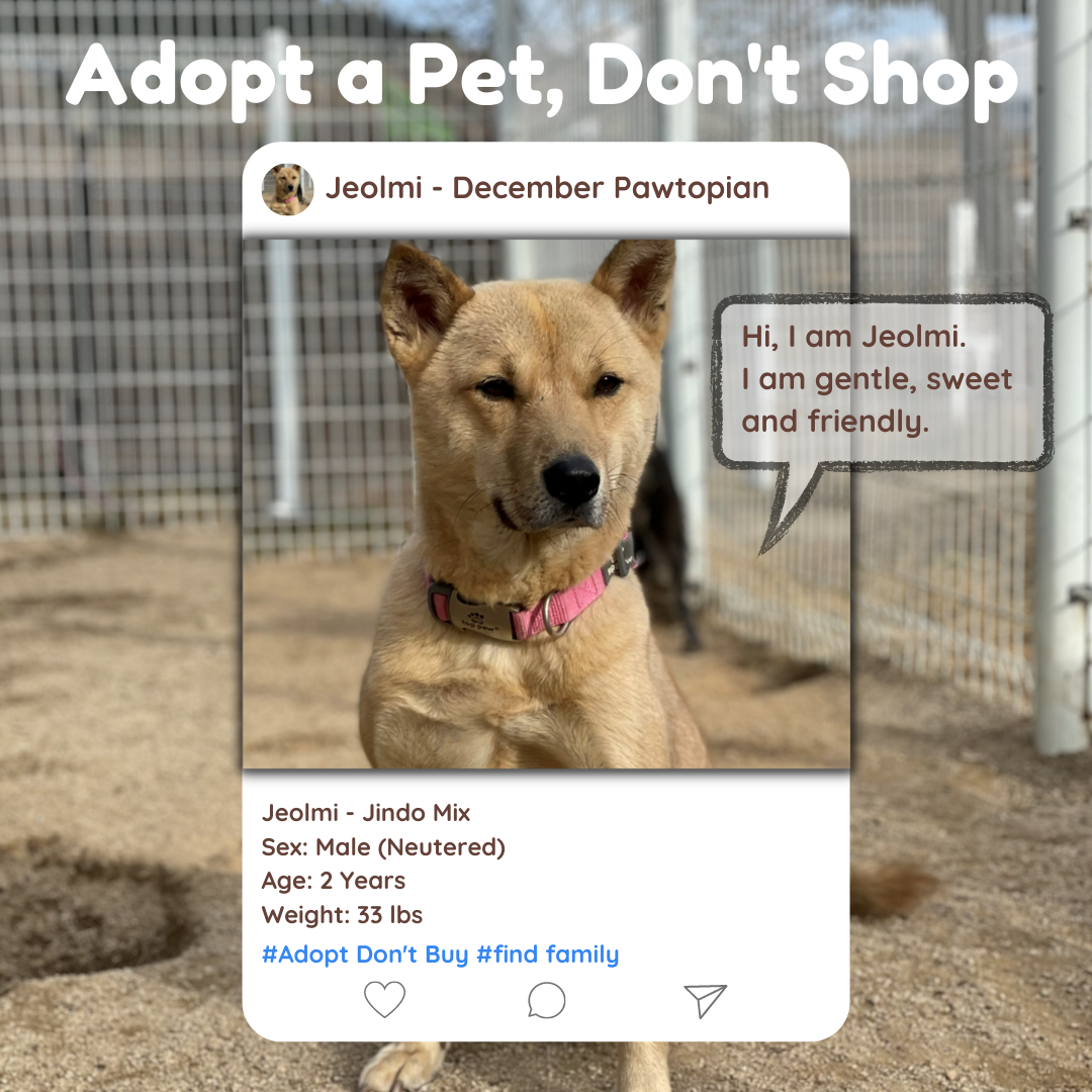 Give Back - Pawtopia helped two dogs