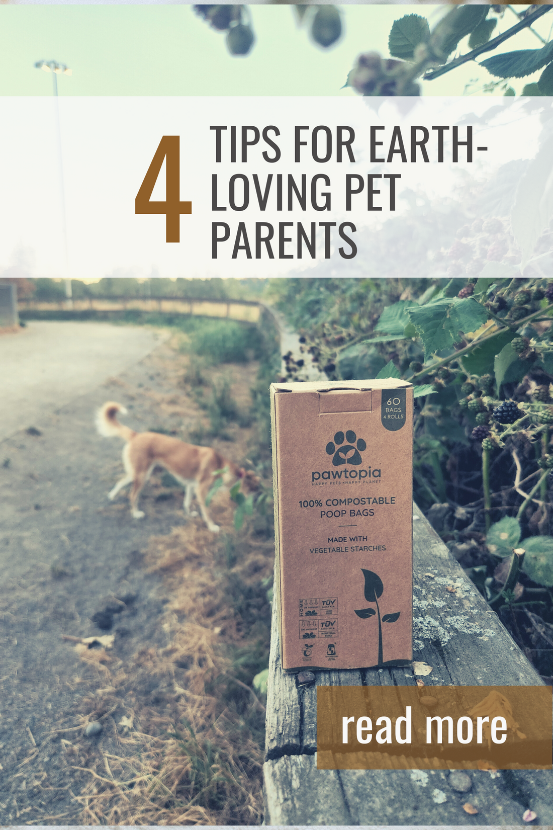 How Can You and Your Pet be An Eco-Friendly Pawtizen?