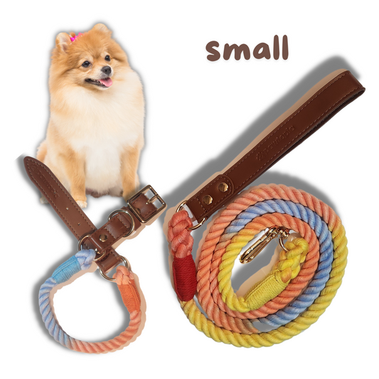 5 FT Dog Leash & Collar Set for Small Dogs, Cotton Braided Rope with Vegan Leather Handle (Brown, Small)