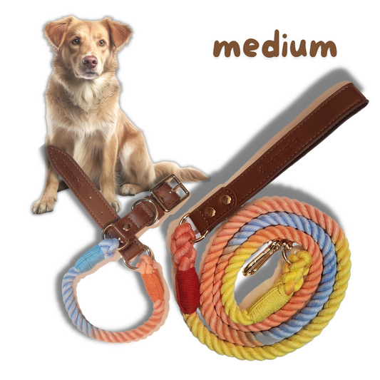 5 FT Dog Leash & Collar Set for Medium Dogs, Cotton Braided Rope with Vegan Leather Handle (Brown, Medium)