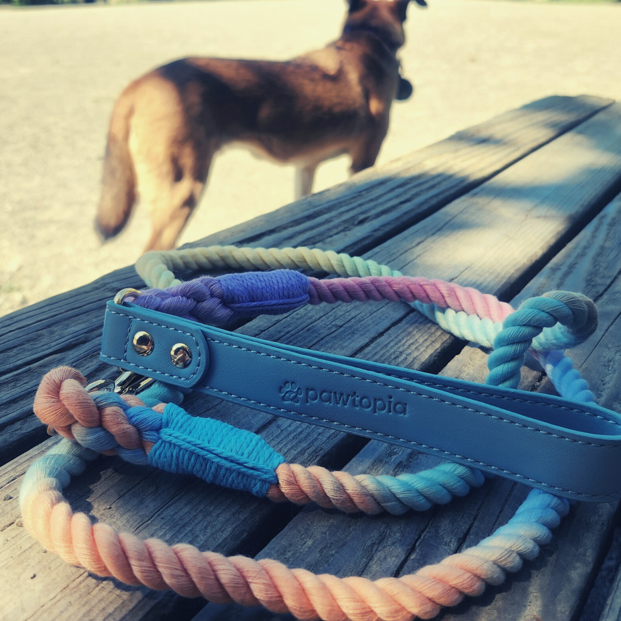 5 FT Dog Leash & Collar Set for Large Dogs, Cotton Braided Rope with Vegan Leather Handle (Light Blue, Large)