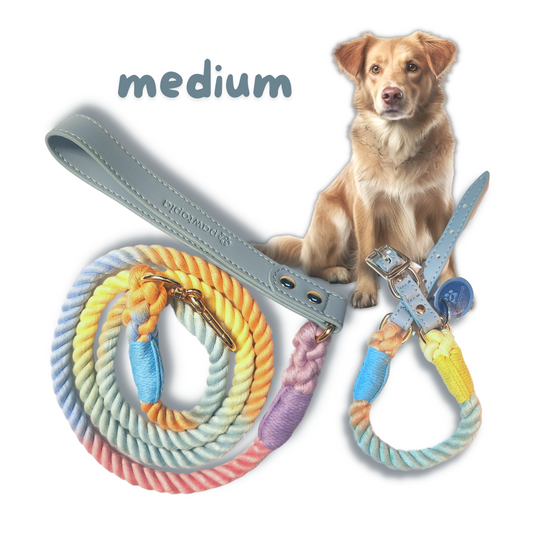 5 FT Dog Leash & Collar Set for Medium Dogs, Cotton Braided Rope with Vegan Leather Handle (Light Blue, Medium)