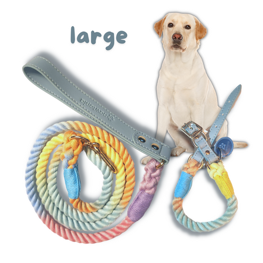 5 FT Dog Leash & Collar Set for Large Dogs, Cotton Braided Rope with Vegan Leather Handle (Light Blue, Large)